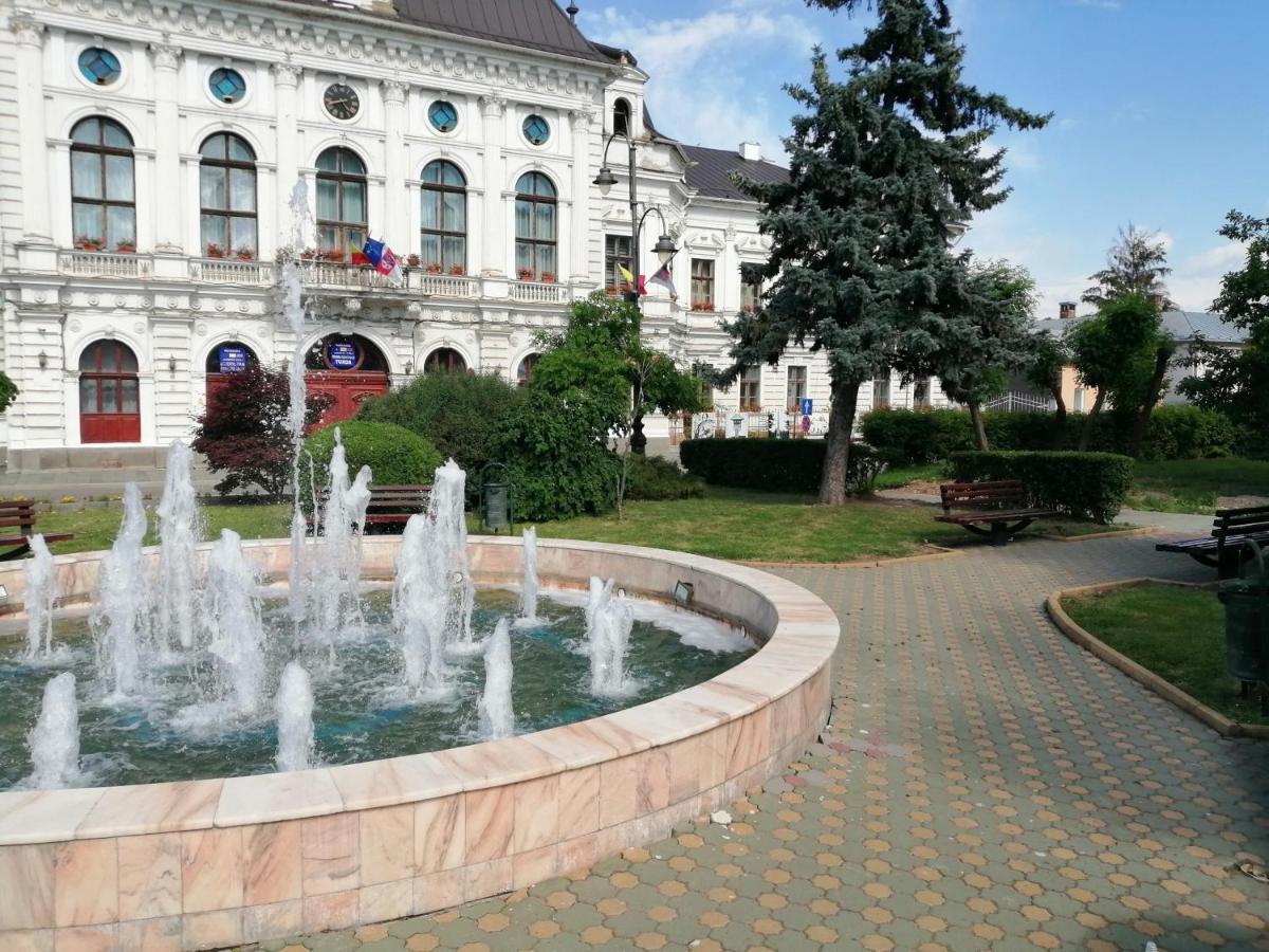 Violet House Apartment Turda Exterior photo